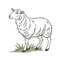 Dynamic Romney Sheep Color Illustration with Outlines vector