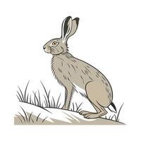 Engaging Rabbit Color Illustration with Realistic Features vector
