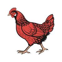 Engaging Rhode Island Red Chicken Realistic Color Illustration vector