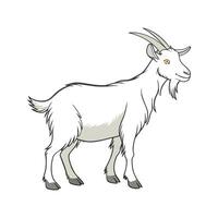 Dynamic Saanen Goat Realistic Color Illustration vector