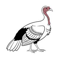 Engaging Royal Palm Turkey Realistic Color Illustration vector