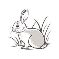 Engaging Satin Rabbit Realistic Color Illustration vector