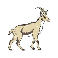 Dynamic Savanna Goat Realistic Color Illustration vector