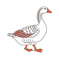 Charming Saxony Goose Realistic Color Illustration vector