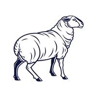 Engaging Sheep Outline Illustration on White vector