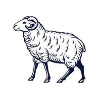 Dynamic Sheep Outline Illustration on Clean Background vector