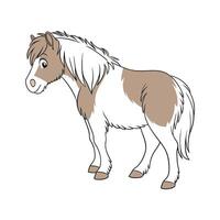 Charming Shetland Pony Realistic Color Illustration vector
