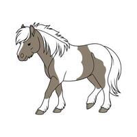 Engaging Shetland Pony Realistic Color Illustration vector
