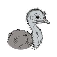 Enchanting Silkie Chicken Color Illustration vector