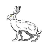 Charming Silver Fox Rabbit Realistic Art vector