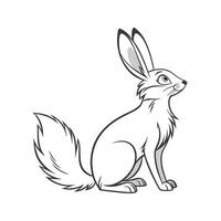 Unique Silver Fox Rabbit Color Illustration vector