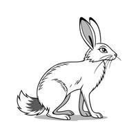 Realistic Silver Fox Rabbit Illustration Art vector
