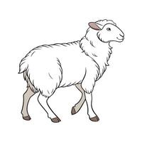 Vibrant Southdown Sheep Realistic Color Illustration vector