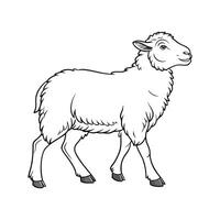 Realistic Southdown Sheep Colorful Illustration vector