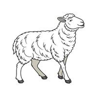 Charming Southdown Sheep Illustration Design Art vector