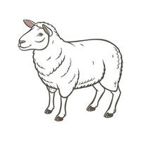 Unique Southdown Sheep Realistic Color Art vector