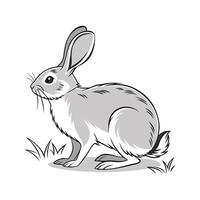 Charming Standard Chinchilla Rabbit Illustration vector