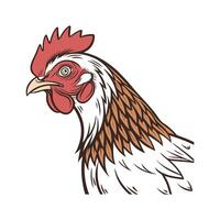 Unique Sussex Chicken Realistic Illustration vector
