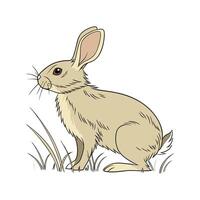 Realistic Tan Rabbit Colorful Illustration vector