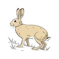 Charming Tan Rabbit Realistic Color Illustration vector