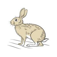 Colorful Tan Rabbit Realistic Illustration Design vector