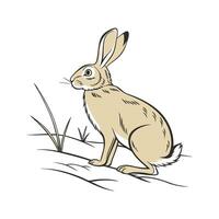 Distinctive Tan Rabbit Realistic Color Illustration vector