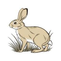 Unique Tan Rabbit Realistic Illustration Art vector