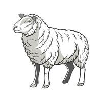 Elegant Texel Sheep Realistic Color Design vector