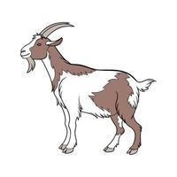 Distinct Toggenburg Goat Realistic Color Illustration vector