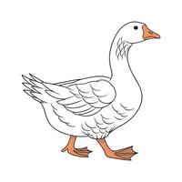 Charming Toulouse Goose Realistic Color Illustration. vector