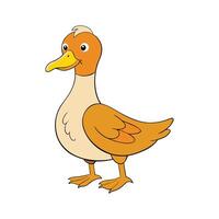 Charming Buff Orpington Duck in Realistic Colors. Cartoon Art Animal Illustration. vector