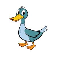 Charming Call Duck Realistic Outline Illustration. Cartoon Art Animal Illustration. vector