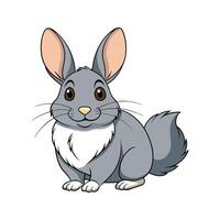 Elegant Realistic Color Illustration of Chinchilla Rabbit. Cartoon Art Animal Illustration. vector