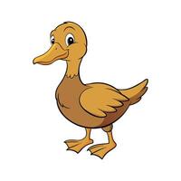 Charming Khaki Campbell Duck Color Illustration Artwork. Cartoon Art Animal Illustration. vector