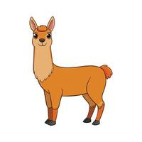 Charming Llama Realistic Color Illustration with Defined Outlines. Cartoon Art Animal Illustration. vector