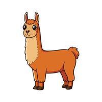 Dynamic Llama Illustration with Realistic Colors and Outlines. Cartoon Art Animal Illustration. vector
