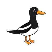 Delightful Magpie Duck Color Illustration with Realistic Features. Cartoon Art Animal Illustration. vector