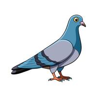 Dynamic Pigeon Realistic Color Illustration with Outline. Cartoon Art Animal Illustration. vector