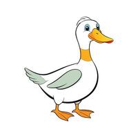 Charming Rouen Duck Color Illustration with Realistic Features. Cartoon Art Animal Illustration. vector