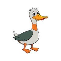 Dynamic Rouen Duck Realistic Color Illustration. Cartoon Art Animal Illustration. vector