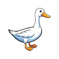 Distinct Rouen Duck Realistic Color Illustration with Outline. Cartoon Art Animal Illustration. vector