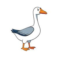 Dynamic Sebastopol Goose Realistic Color Illustration. Cartoon Art Animal Illustration. vector