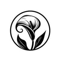 Elegant black white calla lily emblem artistic botanical illustration in a circle, with a minimalist and modern aesthetic. vector