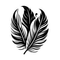 Stylized black white illustration of three feathers arranged in an oval composition on a white background. vector