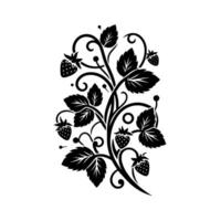 Elegant black and white illustration of a strawberry vine with berries, leaves, and ornamental curl on a white background. vector