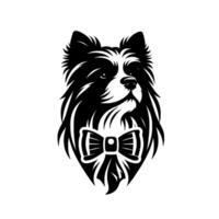 Elegant border collie portrait formal black and white illustration with bow tie, on white background. vector