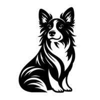 Sleek black and white illustration of a border collie dog, sitting and looking upward with detailed, flowing fur, on a clean white background. vector