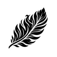 Intricate silhouette a detailed black feather against white, highlighting curved lines and natural elegance. vector