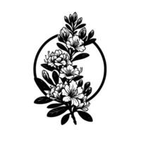 A monochrome botanical illustration of rhododendron blooms cascading within a minimalist circular frame, evoking elegance. vector