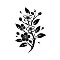 Elegant black and white sakura branch illustration with blossoms, buds, and leaves, isolated on a white background. vector
